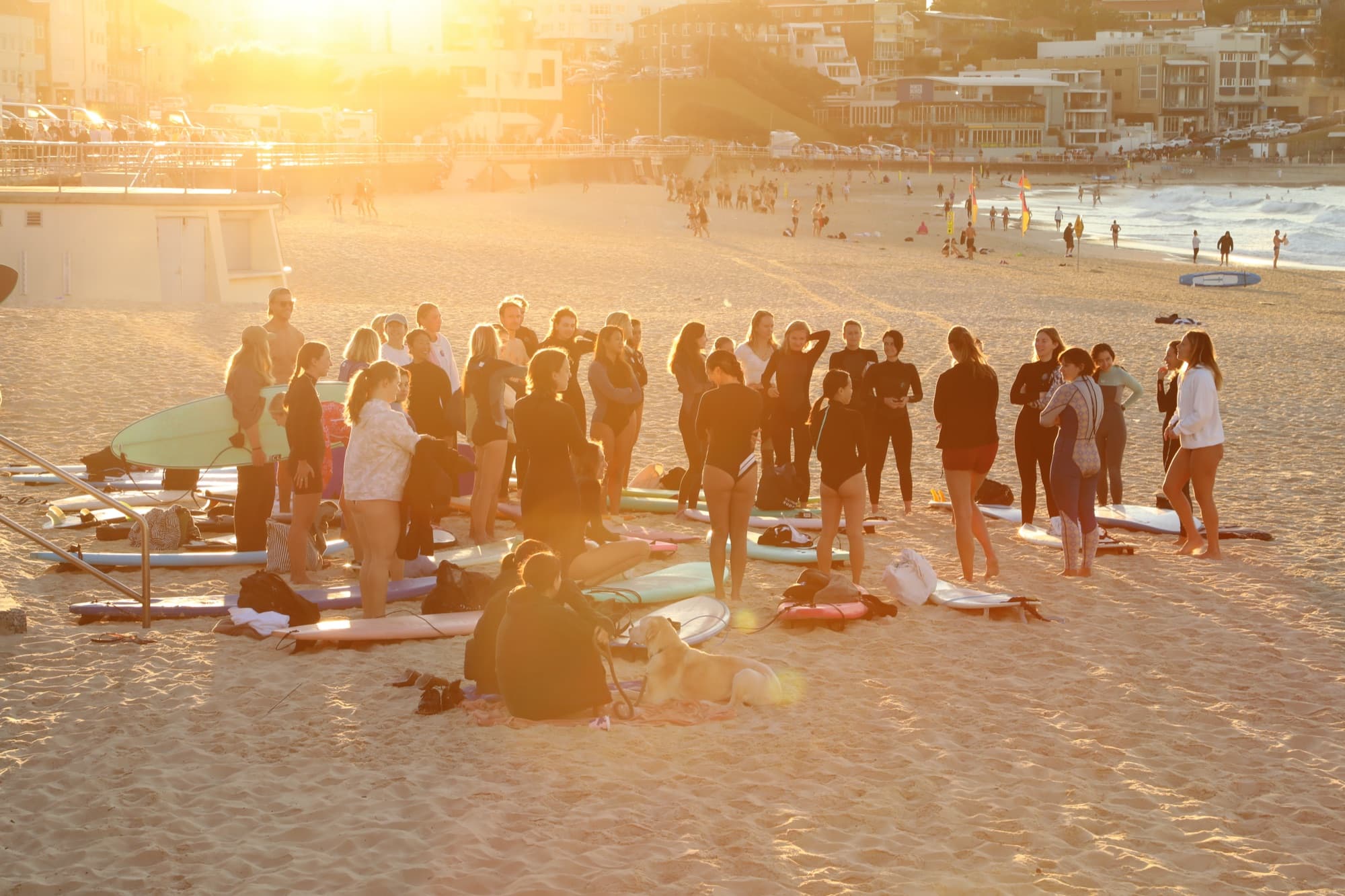Women surfing together at sunrise at Bondi Beach
